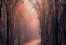 精彩瞬间燃烧体育激情，触动人心共同见证