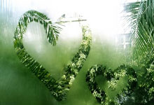 后卫关键抢断，助球队顺利获胜