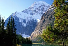 失利无缘！球队遗憾止步亚冠淘汰赛