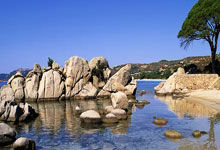 轮番对决！劲旅蓄势待发，勇士耀武扬威！